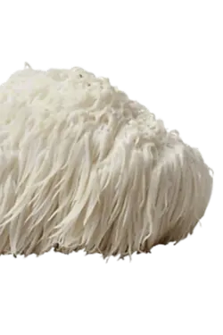 Organic Lion’s Mane Mushrooms